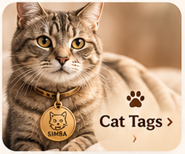 Tabby cat wearing a personalised cat tag