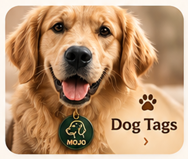 Golden retriever wearing a personalised dog tag